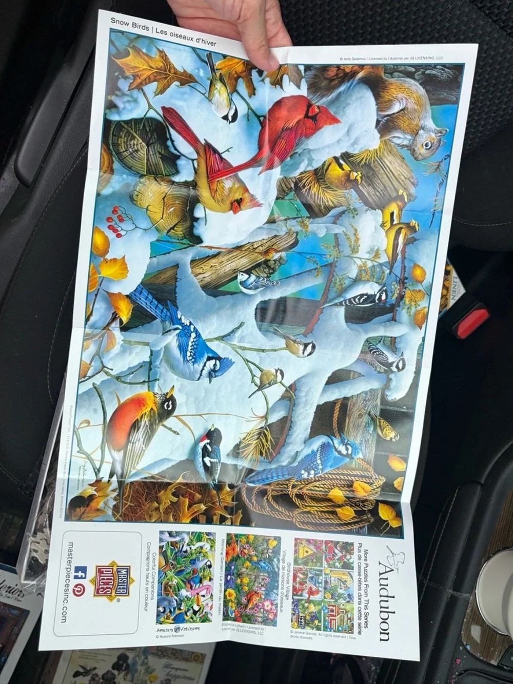 Audubon 1000-Piece Jigsaw Puzzle - Snow Birds - Multicolor